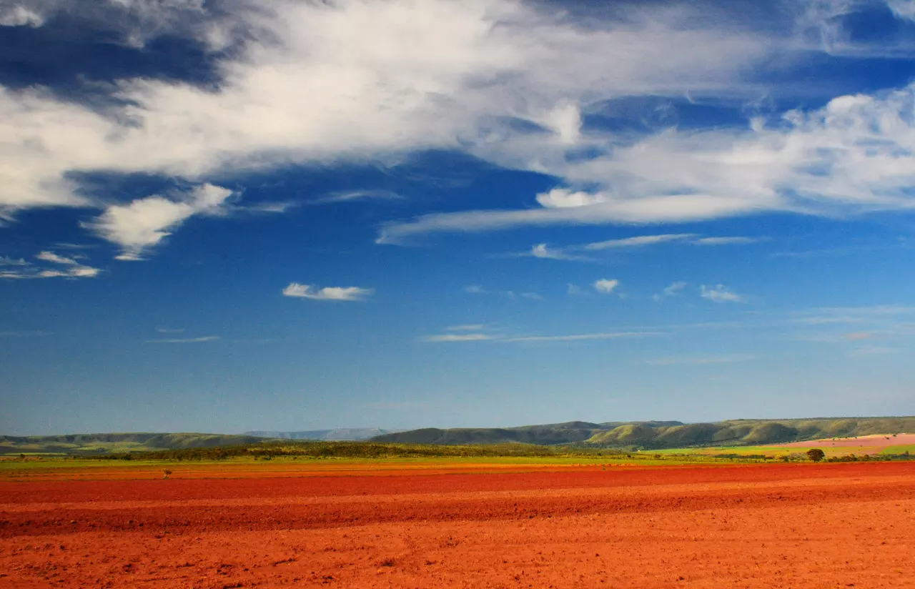 Paisagem agrícola do Cerrado brasileiro com solo avermelhado e plantação — imagem ilustrativa